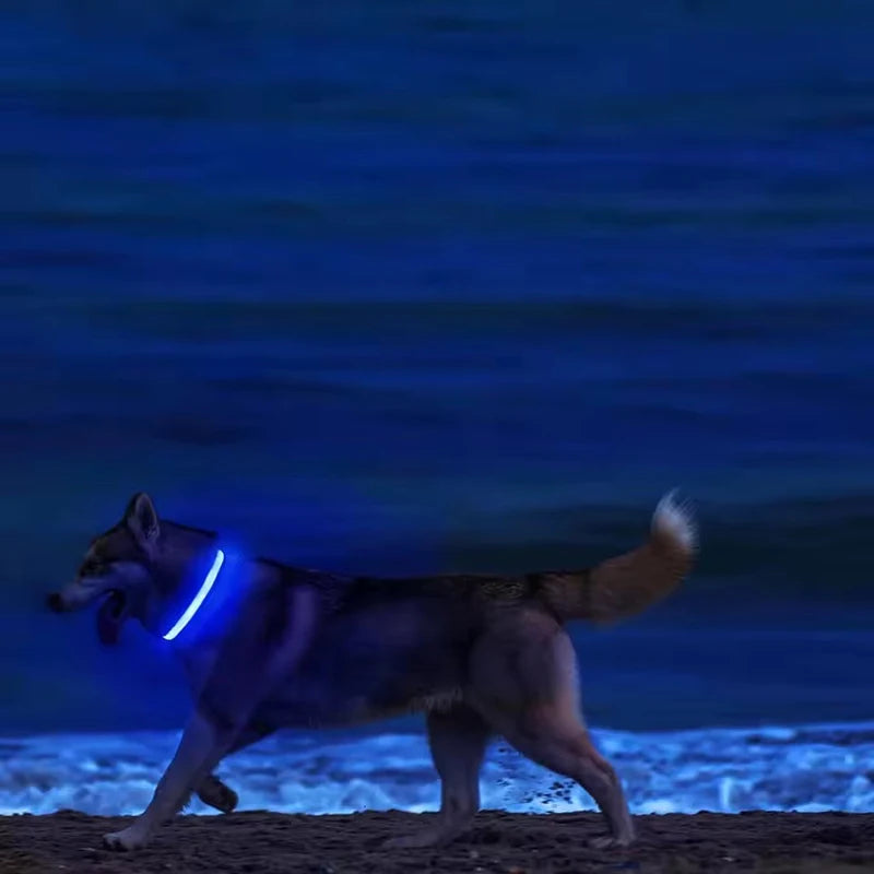 Nylon LED Night Safety Flashing Glow In The Dark Dog Leash Dogs Luminous Fluorescent Pet Dog Collar