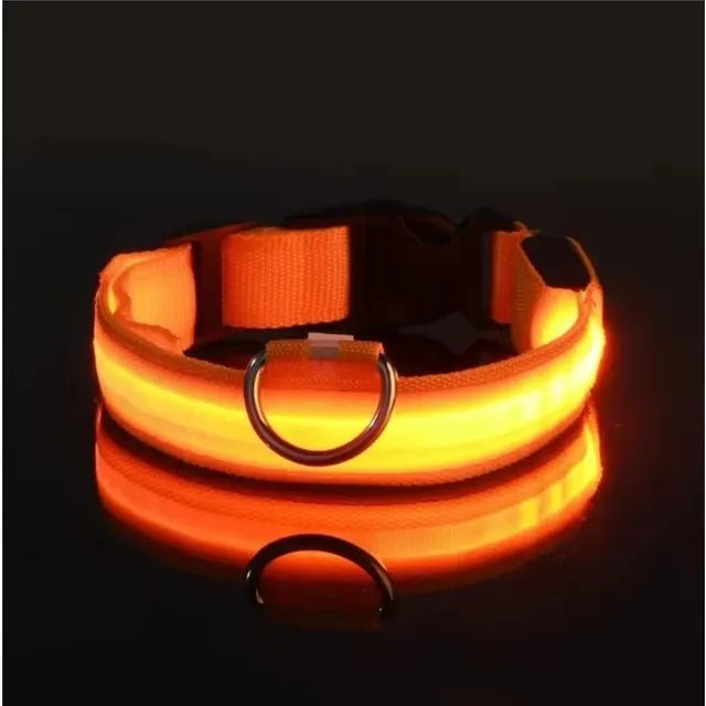 Nylon LED Night Safety Flashing Glow In The Dark Dog Leash Dogs Luminous Fluorescent Pet Dog Collar